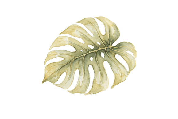 Unlocking Creativity with Leaf PNG Cut File Clipart for DIY Projects